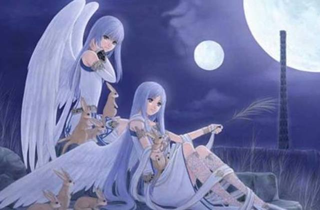 传承叶 相关产品