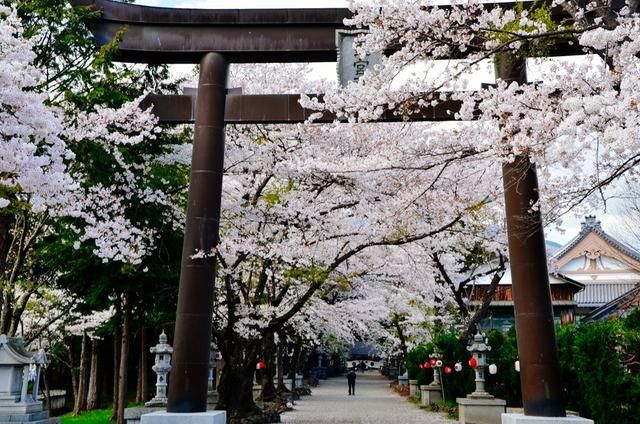 凯特的外遇日记 推荐产品