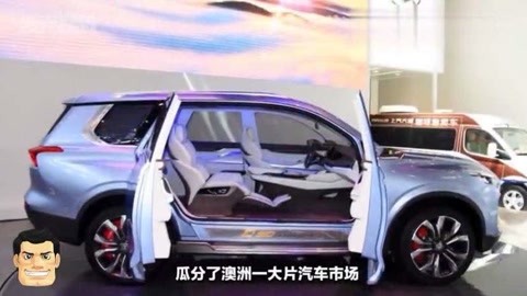 偷盗艺术 产品图片