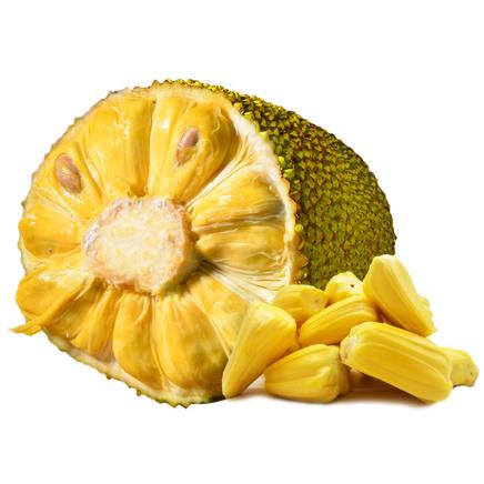 冰川鲨鱼 产品图片