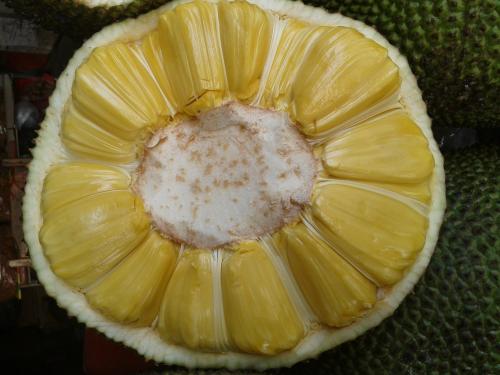 另一棵格尔尼卡之树 相关产品