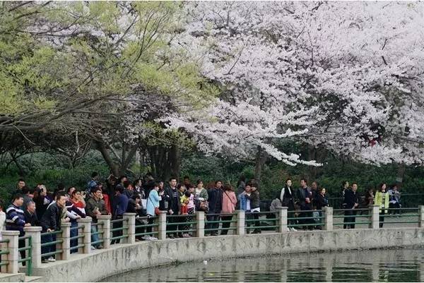 偷盗艺术 相关产品