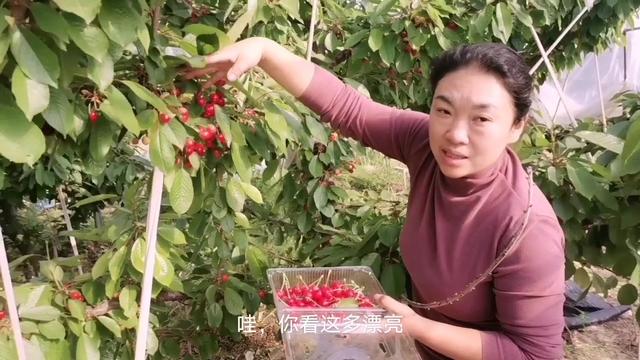 为了她（国语版） 产品主图