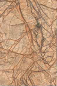 传世乐章 相关产品