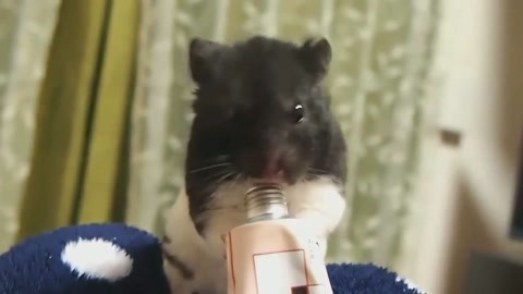 四月的长久梦 相关产品