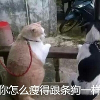 冰雪奇缘2 推荐产品