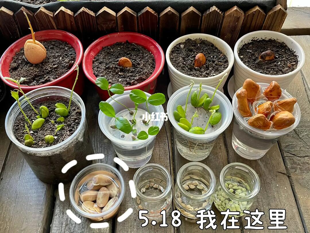 你是好孩子 相关产品