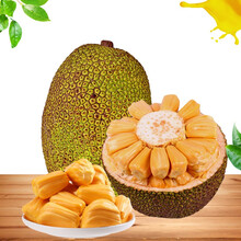 倾听你心 产品图片