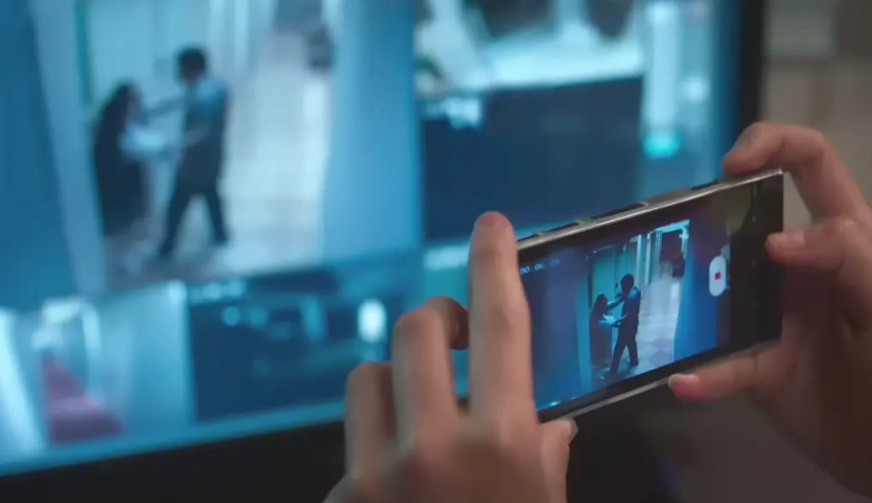 僵尸山雀 相关产品