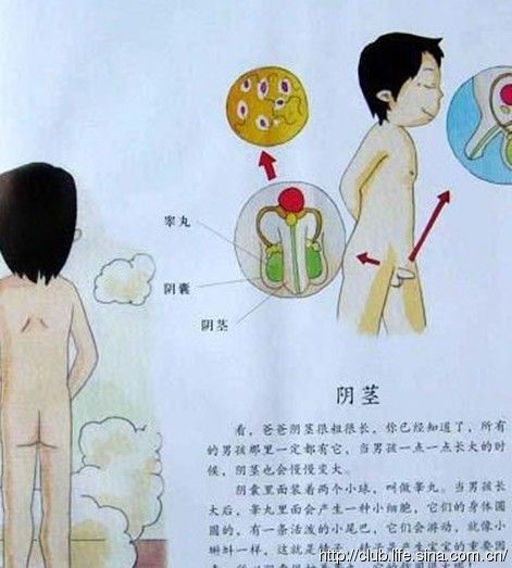 圣乔治 产品图片