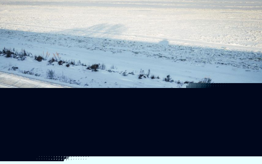 传承叶 相关产品