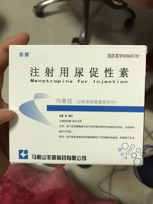 与你在世界终结之日 特别篇