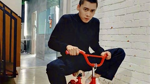 向上猴子 相关产品