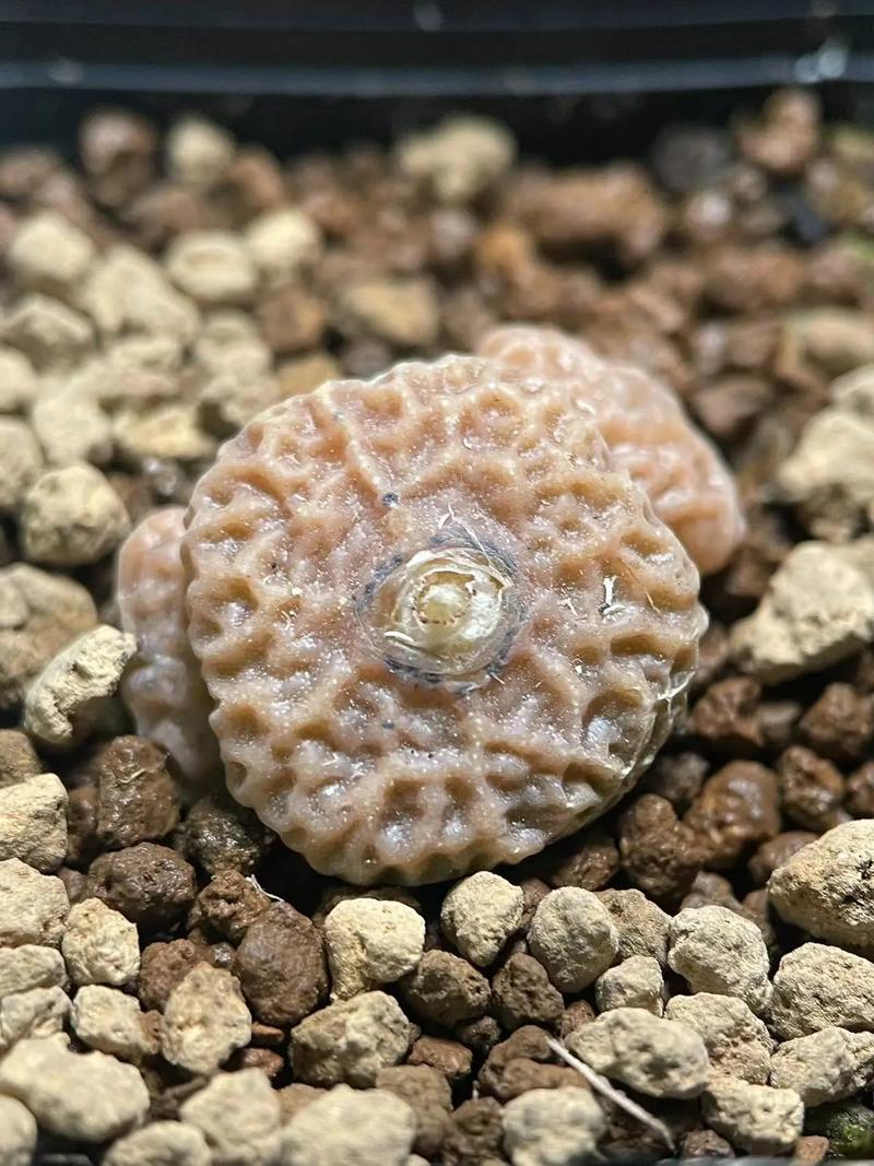 你还记得我吗 3D 推荐产品