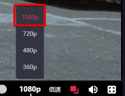 冰川鲨鱼 产品图片