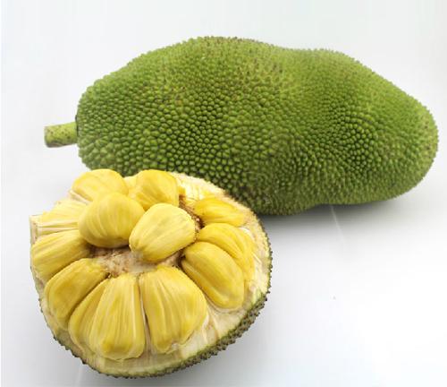 僵尸新战士 产品主图