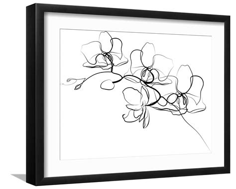 你好弗里达 相关产品