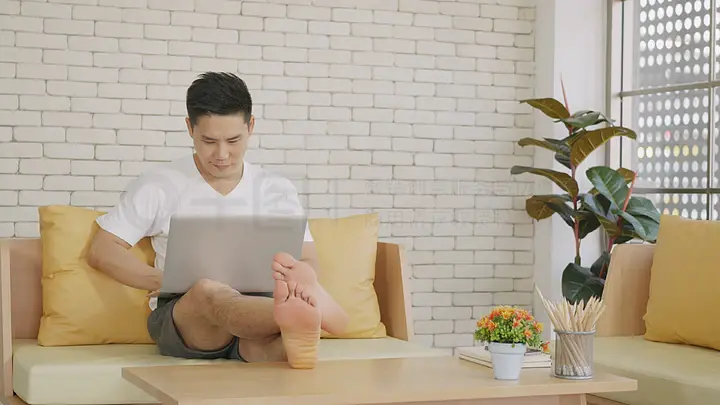 传承叶 相关产品