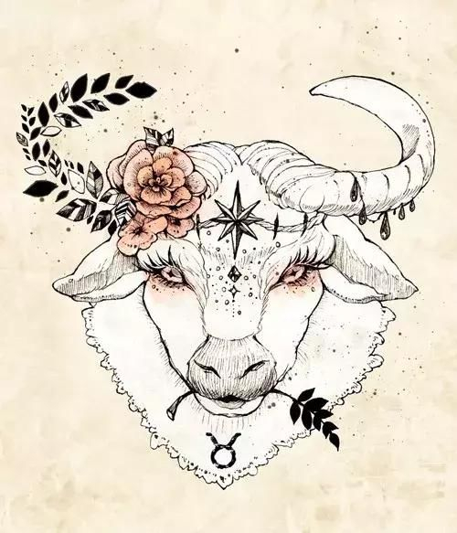 修罗新娘 相关产品