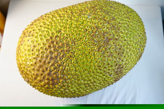 国家元首 产品图片