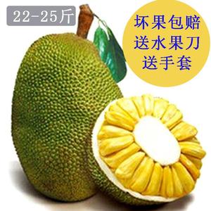 俏如彩蝶飞飞飞 产品主图