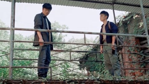 墙头马上 相关产品