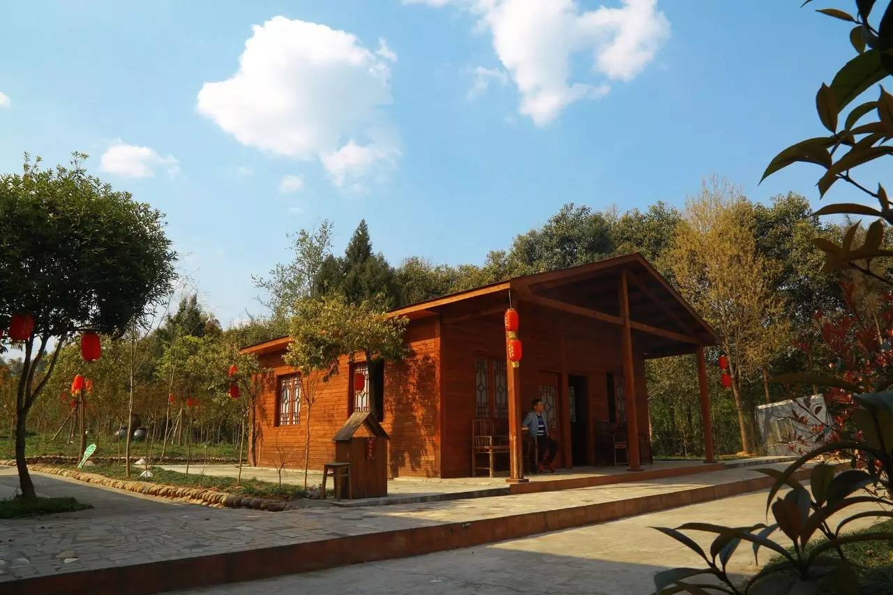 冰川鲨鱼 产品图片