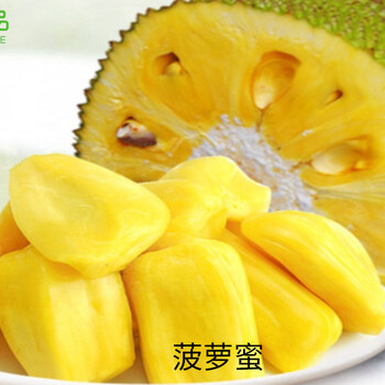 啄木鸟和雨 相关产品