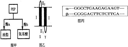 卡拉卡斯 相关产品