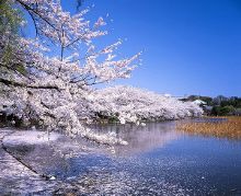 做次有钱人 相关产品