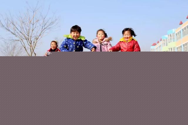 你的鸟儿会唱歌 产品图片