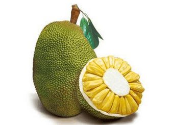 你好弗里达 相关产品