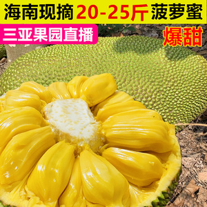 偶像活动Planet 剧场版 相关产品