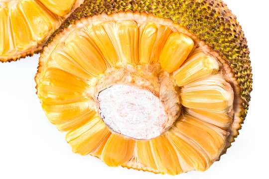 壳中裂缝 产品图片