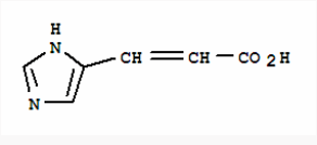 圣斗士星矢：圣域传说 相关产品