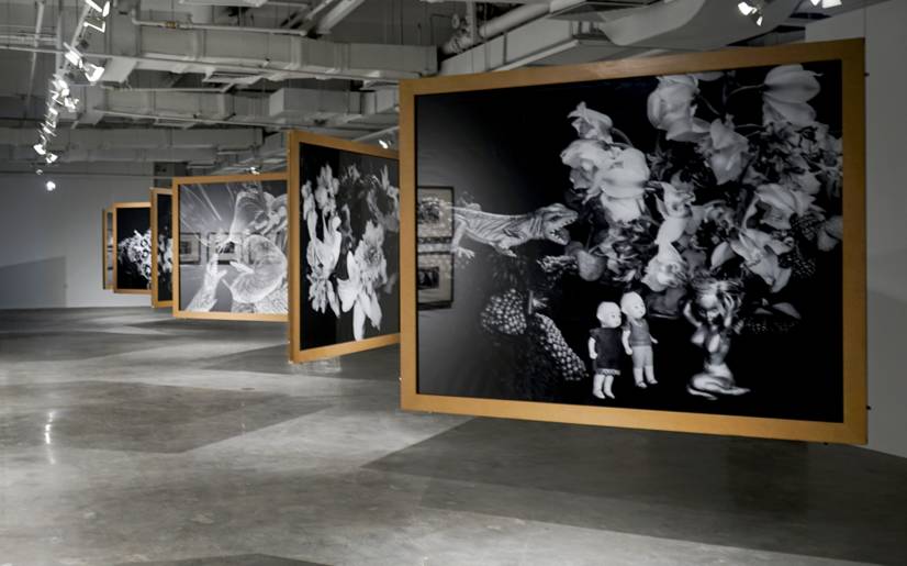 圣龙奇兵大冒险 相关产品