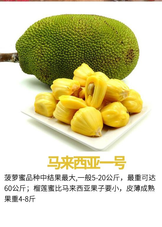 你想要的一切 相关产品