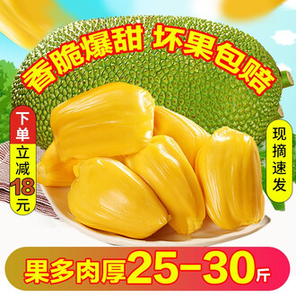 冒牌上帝 推荐产品