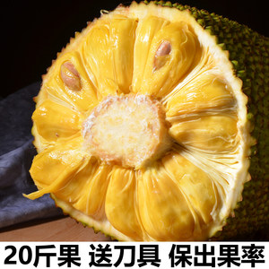 像这样的夏天 推荐产品