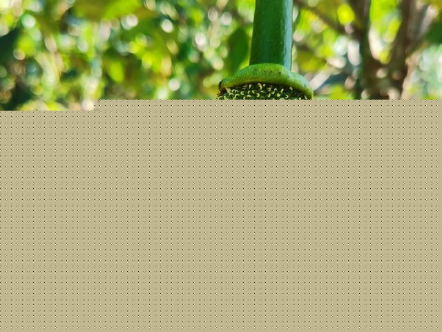 复仇者 推荐产品