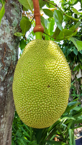 古镇情缘 相关产品