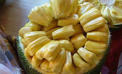 和巴什尔跳华尔兹 相关产品