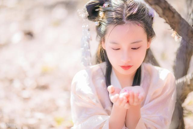 嗜血灰熊 相关产品