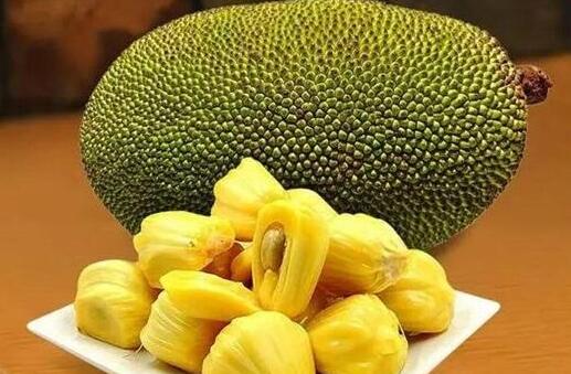 僵尸叔叔 产品图片