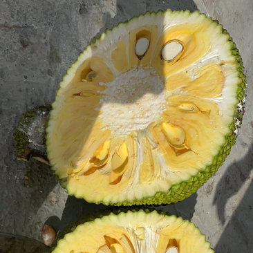 佛莱迪大战杰森 产品图片