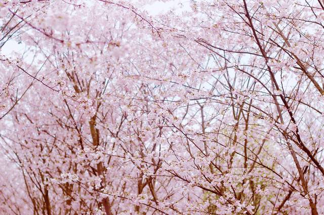 保你平安 相关产品