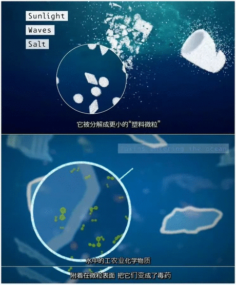 伽利略特别篇 产品图片