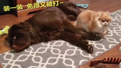 嗳！乡下女孩 相关产品