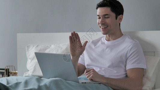 僵尸山雀 产品图片