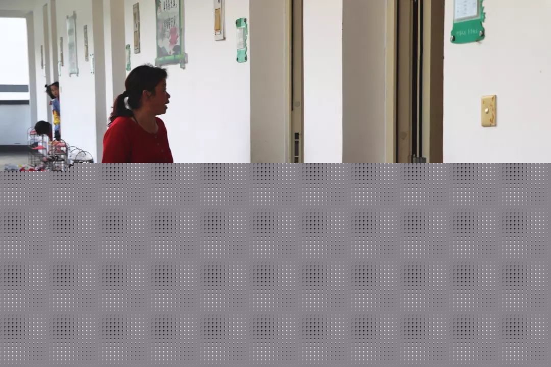 伊格尔和鹤的旅程 相关产品